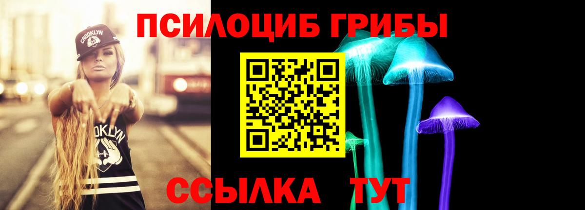 продажа наркотиков  Вход с VPN  Кострома  Галлюциногенные грибы Psilocybe 