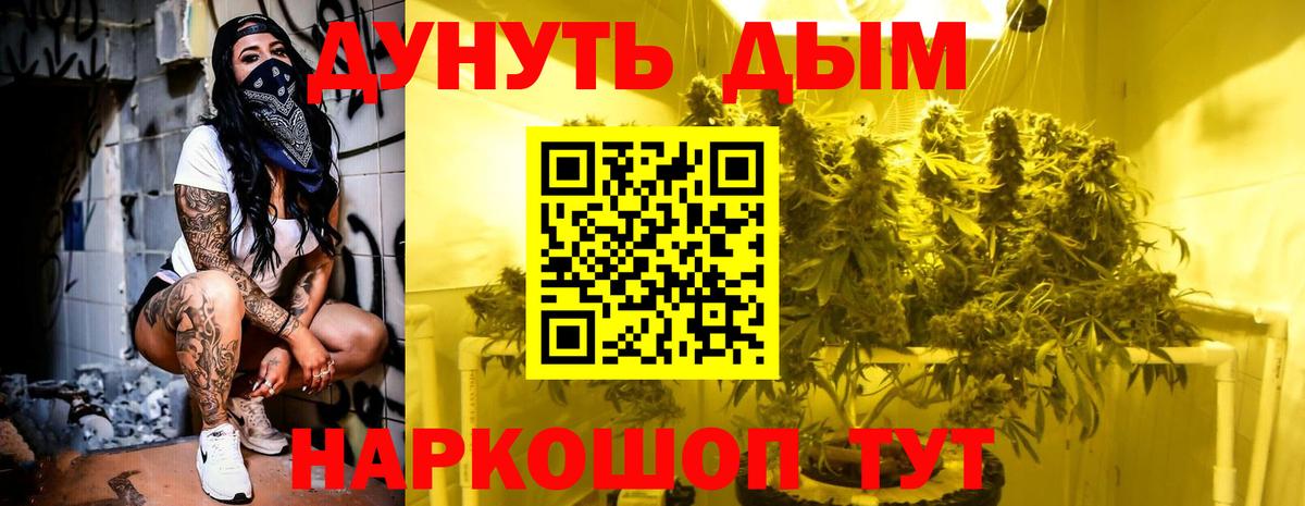 Канабис White Widow  Каннабис план  Каннабис Ganja  Кострома  Вход с VPN 